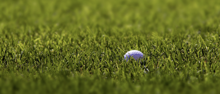 Comment jouer une ronde de golf sans perdre une seule balle ?